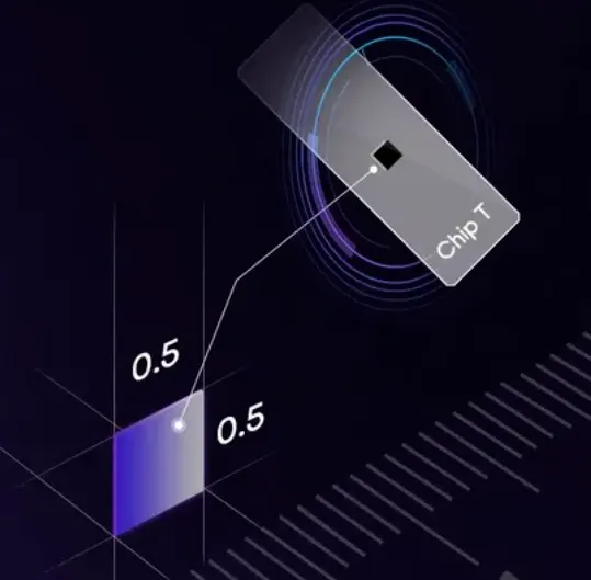 Stereo-seq S0.5 chip diagram showing a 0.5 × 0.5 cm capture area designed for high-resolution spatial transcriptomics of small samples. Stereo-seq S0.5 chip diagram showing a 0.5 × 0.5 cm capture area designed for high-resolution spatial transcriptomics of small samples.