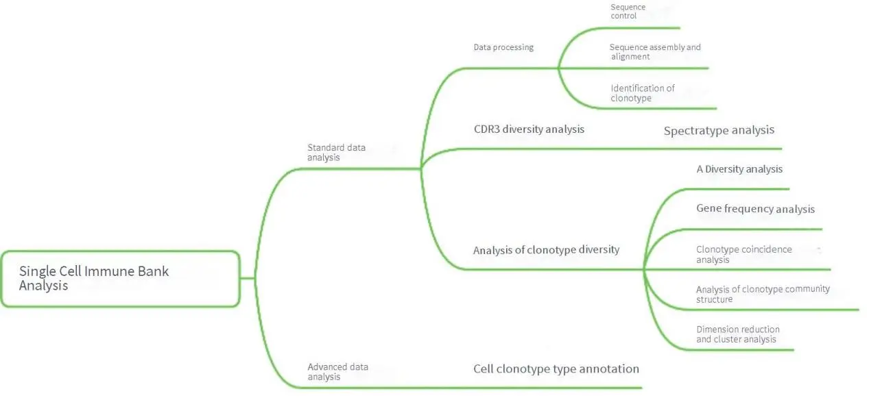 Analysis Pipeline of Single Cell RNA Sequencing with Immune Repertoire Profiling