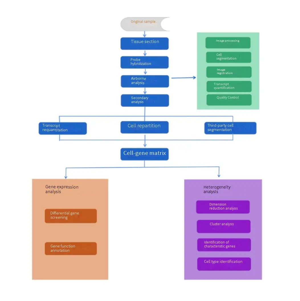 Spatial Transcriptomics Analysis Pipeline