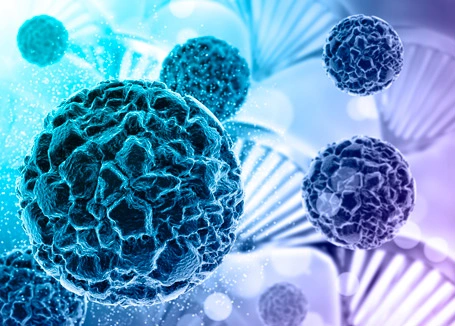 Spatial Transcriptomics Sequencing