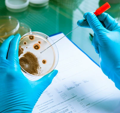 Yeast Two-Hybrid Screening