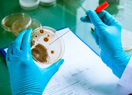 Yeast Two-Hybrid Screening