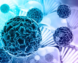 Spatial Transcriptomics Sequencing