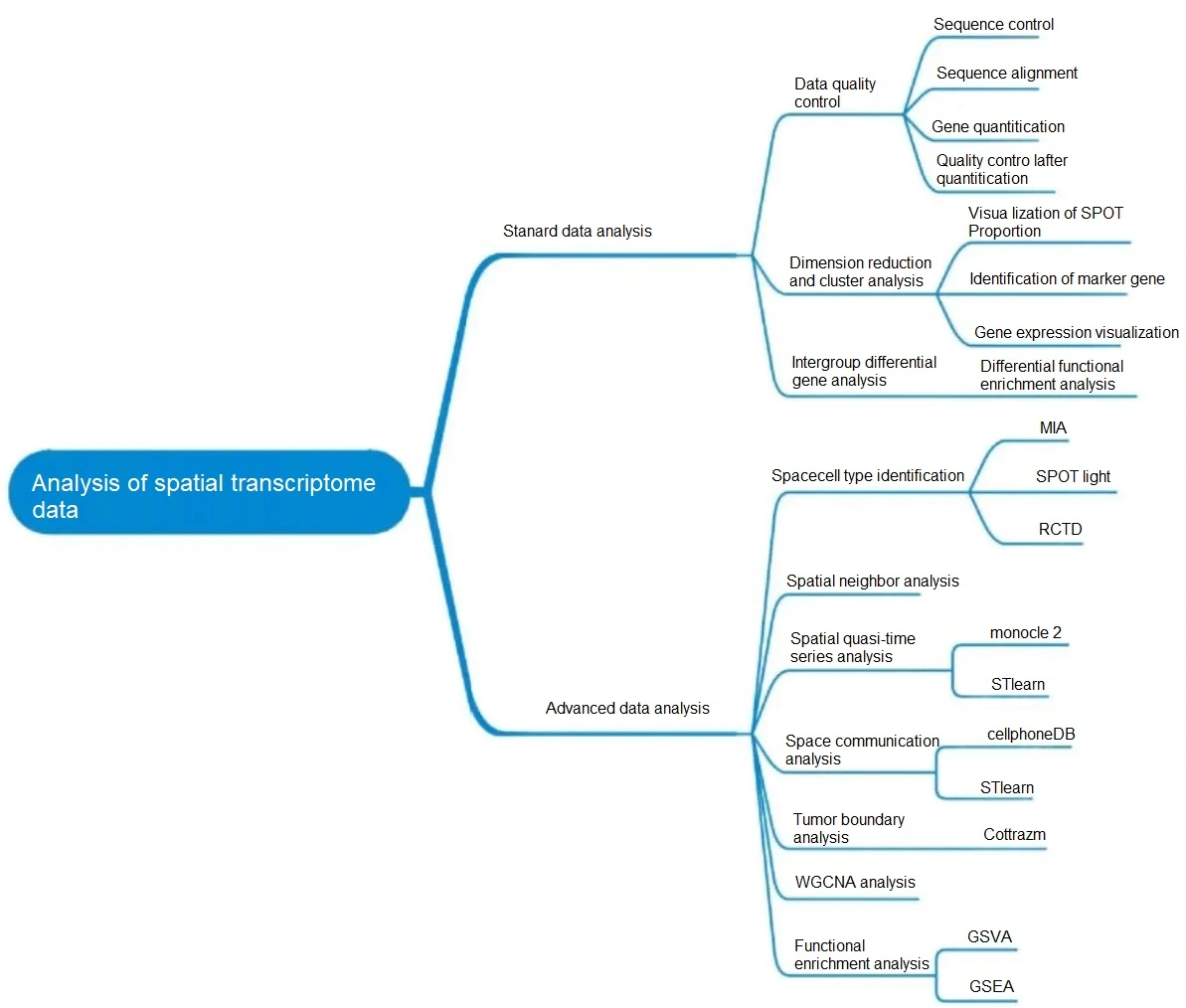 Spatial Transcriptomics Analysis Pipeline