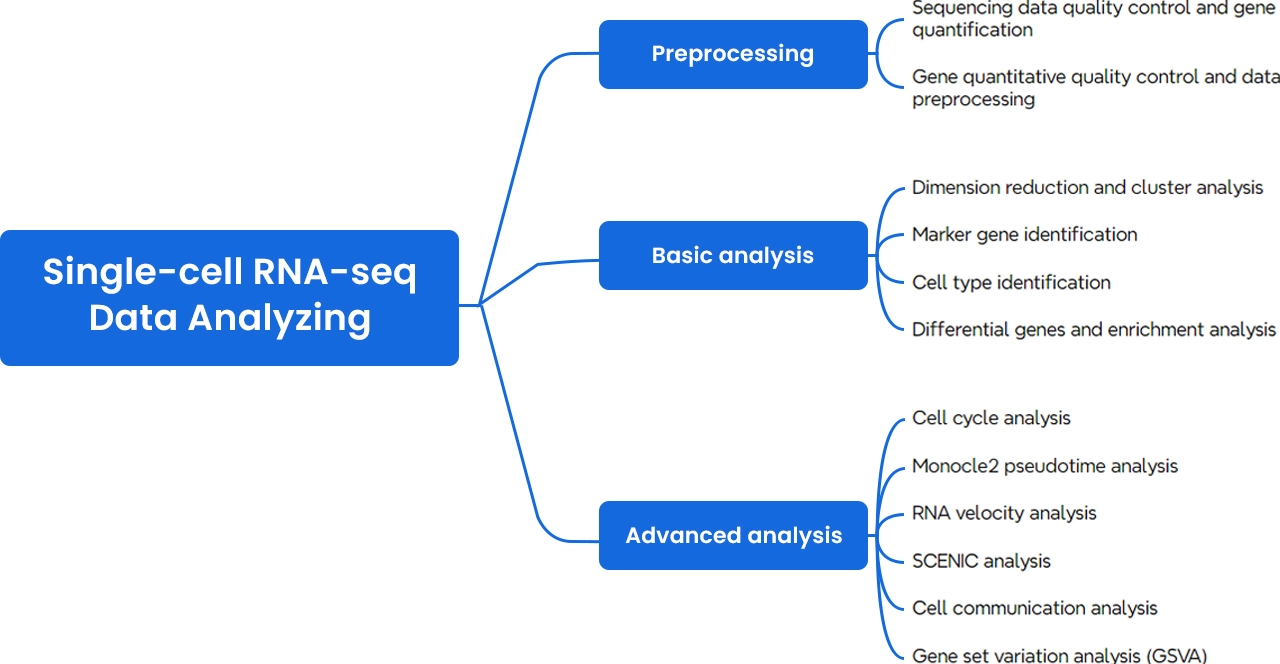 Analysis Pipeline of Single Cell RNA Sequencing