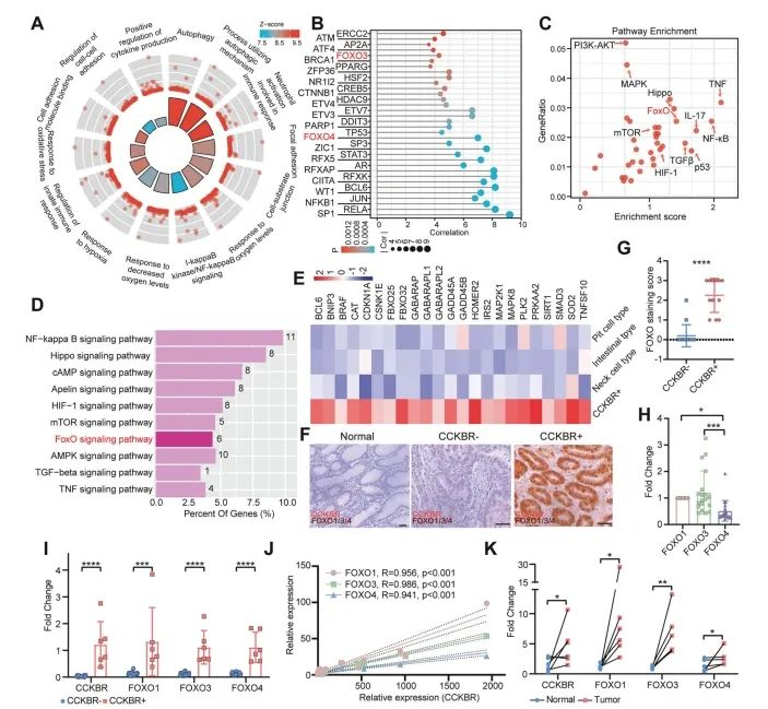 Insights_from_Single-Cell_Sequencing_05.png
