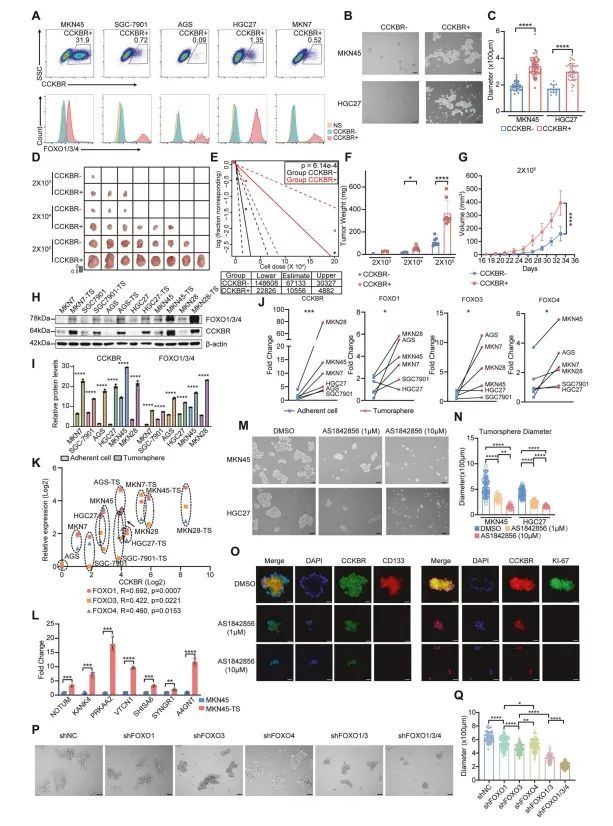 Insights_from_Single-Cell_Sequencing_07.png Insights_from_Single-Cell_Sequencing_07.png