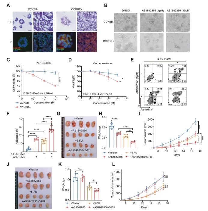 Insights_from_Single-Cell_Sequencing_08.png Insights_from_Single-Cell_Sequencing_08.png