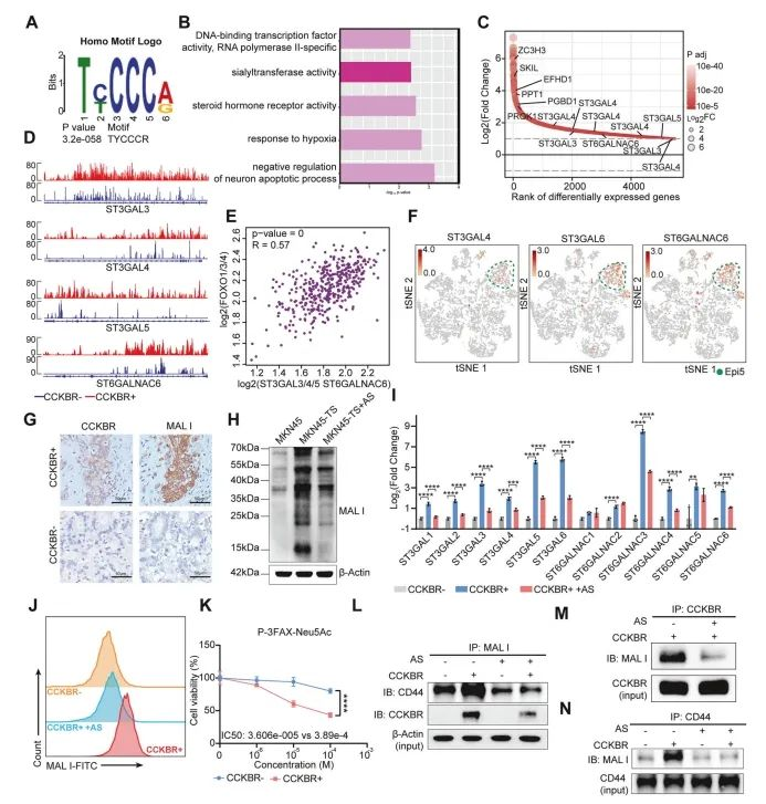 Insights_from_Single-Cell_Sequencing_09.png Insights_from_Single-Cell_Sequencing_09.png