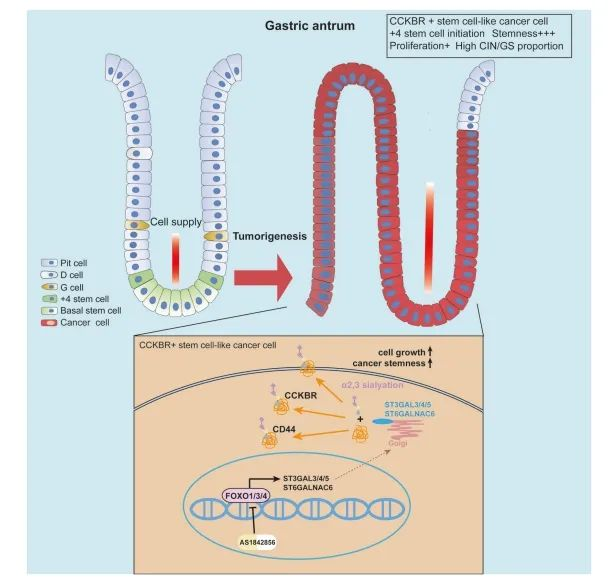 Insights_from_Single-Cell_Sequencing_10.png Insights_from_Single-Cell_Sequencing_10.png