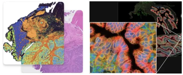 High-Resolution_Detection_Image_Example.webp High-Resolution_Detection_Image_Example.webp