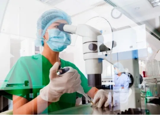 Yeast_Liberary_Construction_converted.webp Yeast_Liberary_Construction_converted.webp