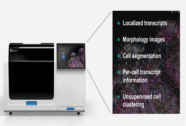 Overview-of-Xenium-In-Situ-Technology-1.webp Overview-of-Xenium-In-Situ-Technology-1.webp