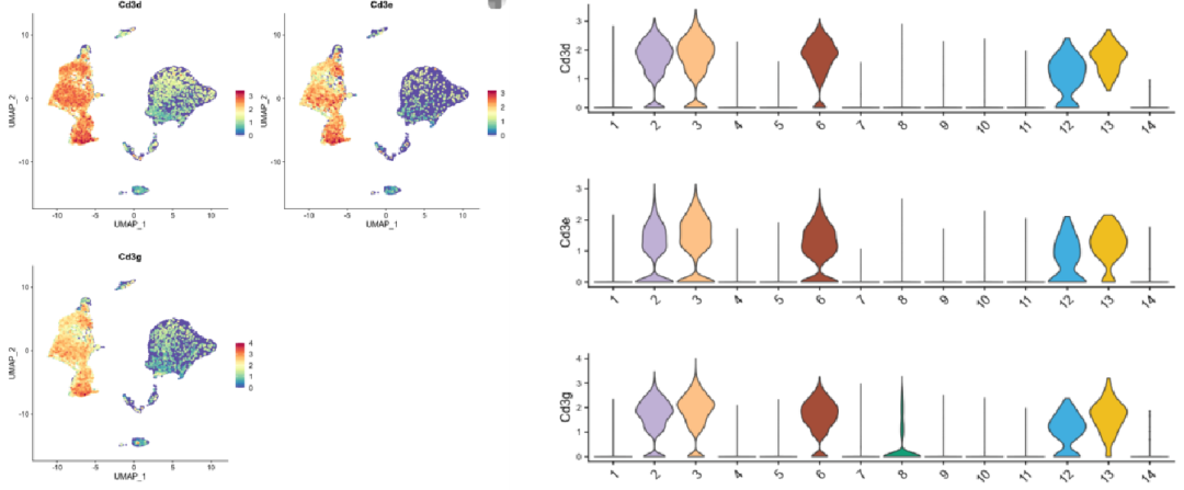 R-based_Analysis.webp R-based_Analysis.webp