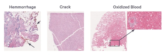 Sample_Preparation_Guide_for_Visium_HD_Spatial_Transcriptomics.webp Sample_Preparation_Guide_for_Visium_HD_Spatial_Transcriptomics.webp