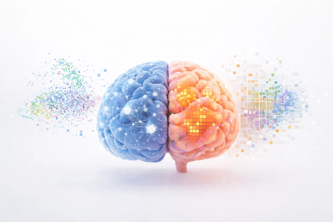 What Single-Cell and Spatial Transcriptomics Reveal in Brain Research: 4 Real Case Studies What Single-Cell and Spatial Transcriptomics Reveal in Brain Research: 4 Real Case Studies