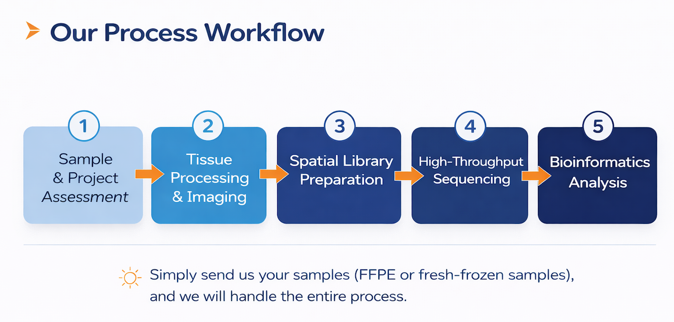 spatial-transcriptomics-service-workflow-omics-empower.webp spatial-transcriptomics-service-workflow-omics-empower.webp